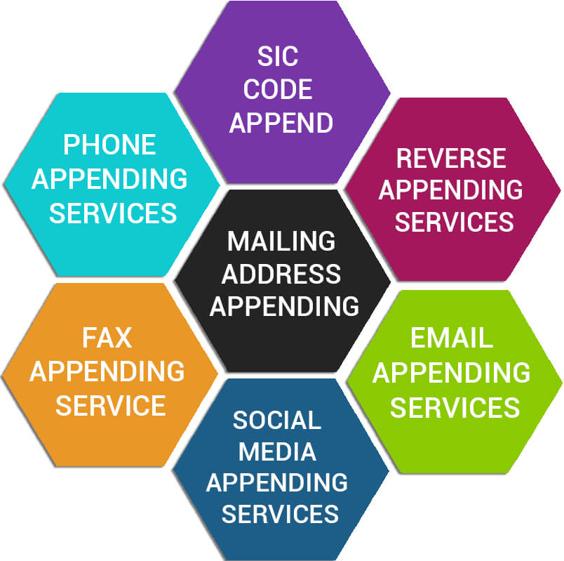 Data Management Services Offered By InfoCleanse V1 Data Management Services Offered By InfoCleanse V1