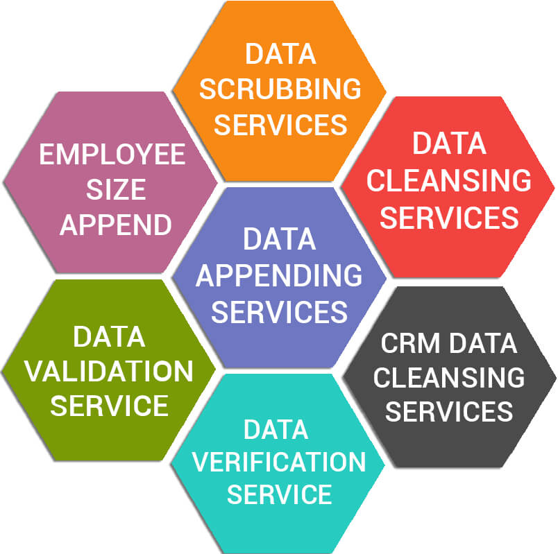 Data Management Services Offered By InfoCleanse V2 Data Management Services Offered By InfoCleanse V2