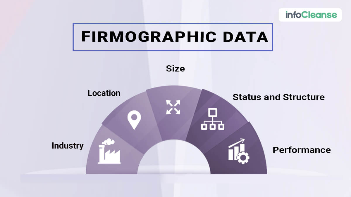 Firmographic Data - InfoCleanse