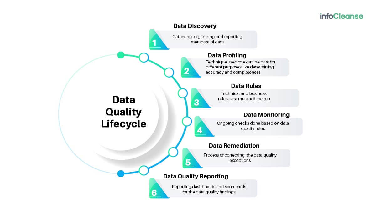 Data-Quality-Life-Cycle-Infocleanse