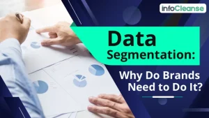 Data-Segmentation-Why-Do-Brands-Need-to-Do-It