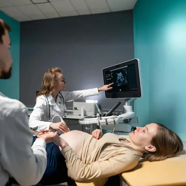 Gynecologists Email List